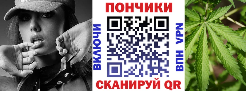 где купить   Байкальск  Каннабис план 